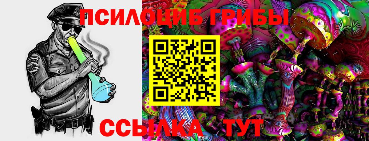 Строитель  Галлюциногенные грибы прущие грибы  Вход с VPN  Псилоцибиновые грибы мицелий 